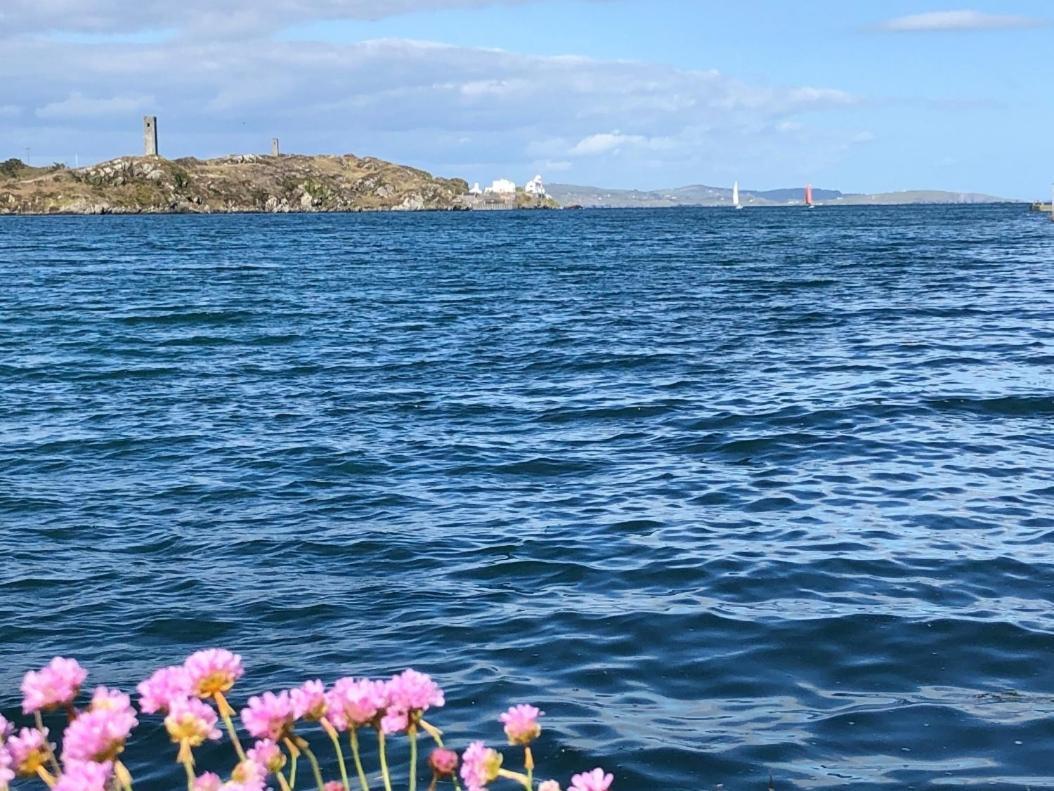 Willa Seafront House With Own Private Pier In Gunpoint, Schull, West Cork Seafort Zewnętrze zdjęcie